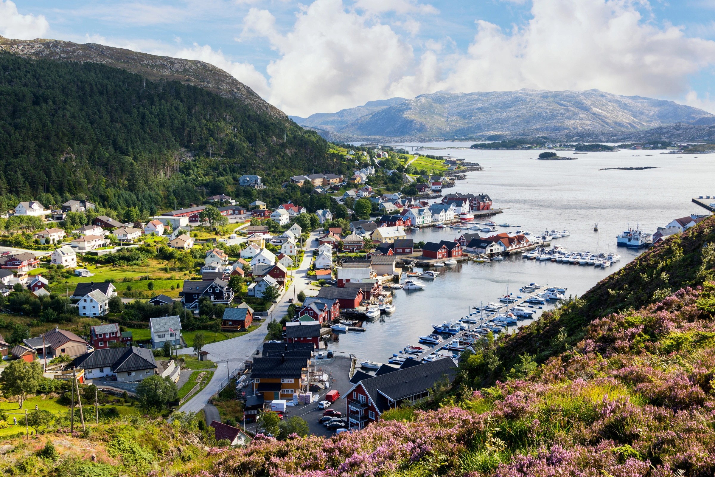 Kalvåg[1].webp